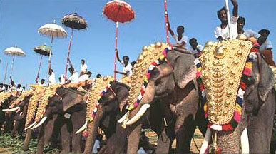 trichur_pooram3