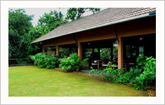 The The Rainforest Resort, Athirappilly, Kerala, India