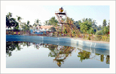 The Green Hattu Resorts Thrissur, Kerala, India