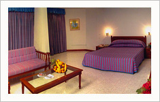 The Krishna Inn Guruvayoor, Kerala, India